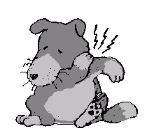 �摜�E���Ó����̂�����E���̈�w������ �����Î�